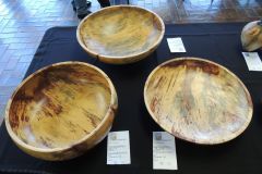 DSCN1424